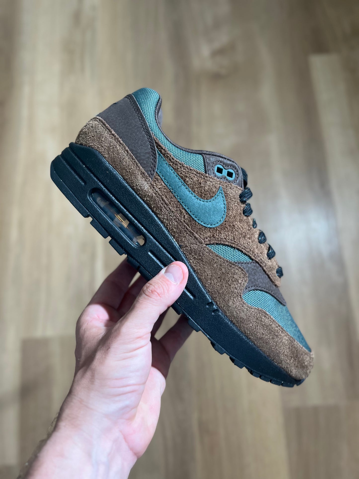 Nike Air Max 1 'Beef & Broccoli’