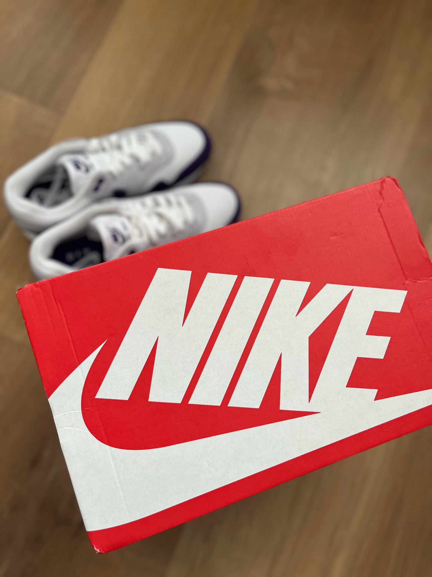 Nike Air Max 1 'SC Field Purple'