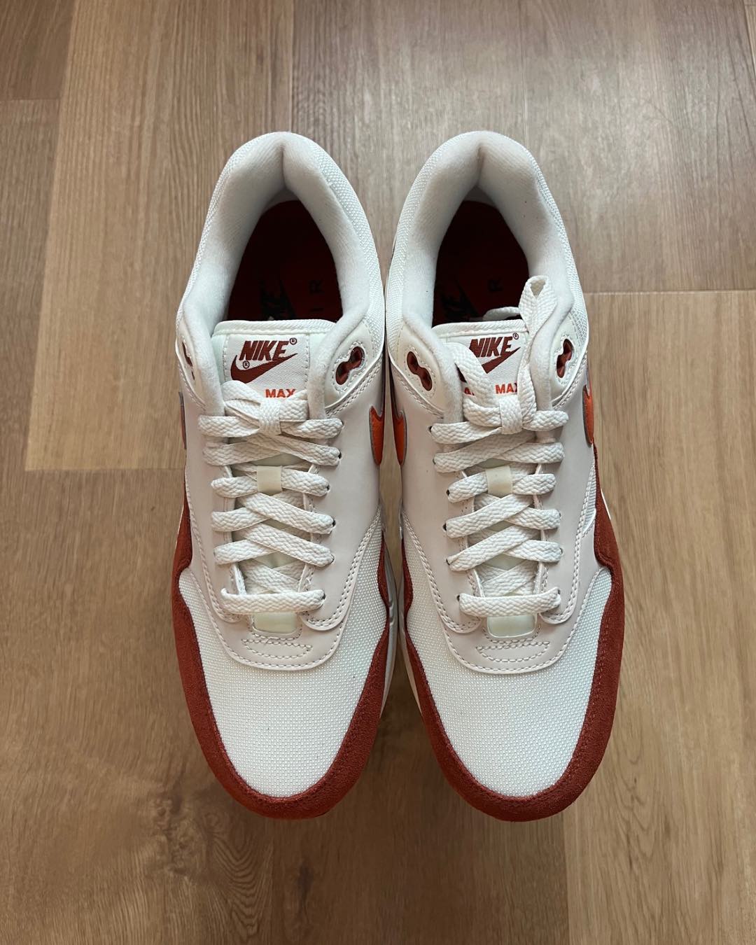 Nike Air Max 1 'Mars Stone'