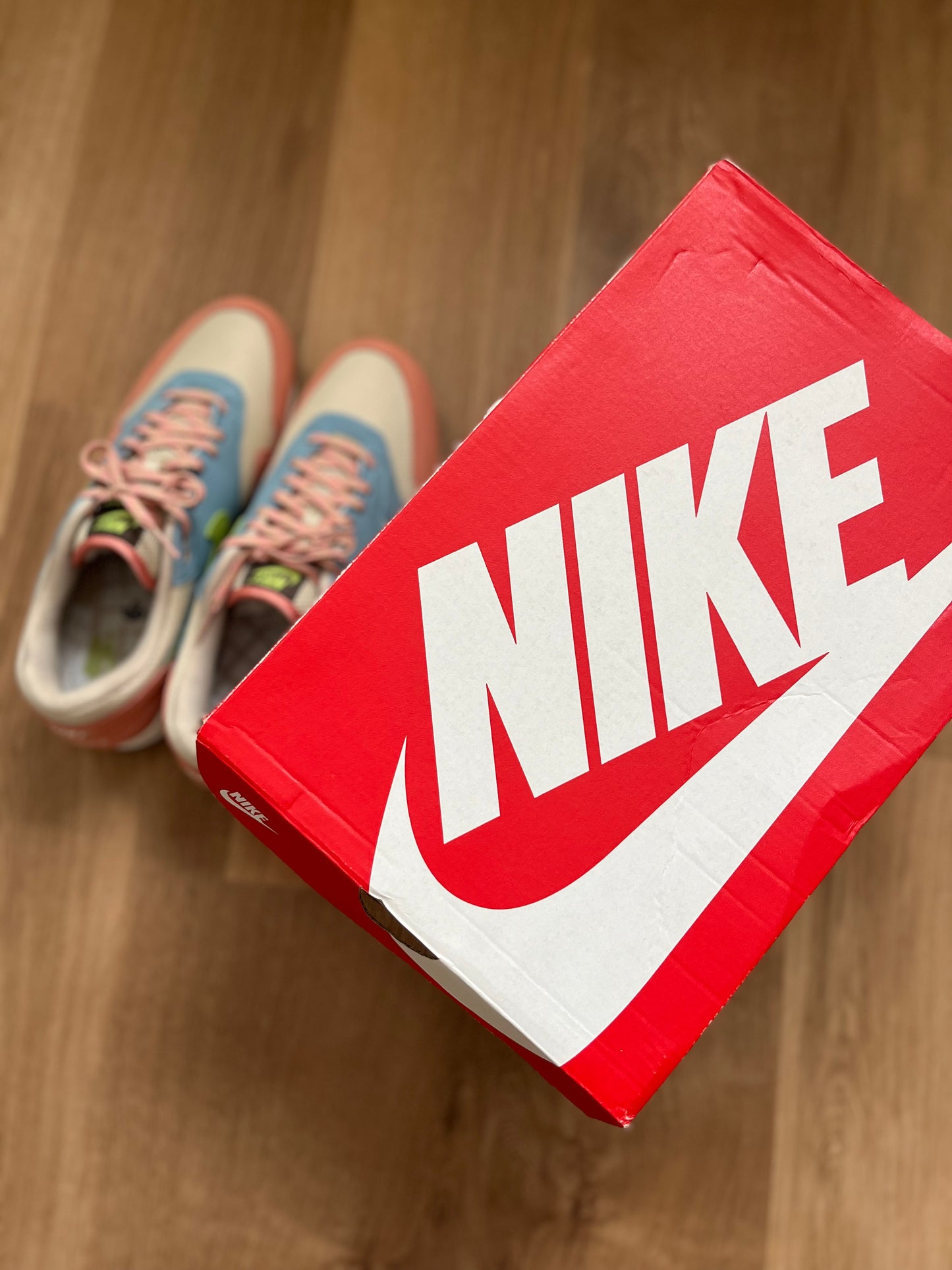 Nike Air Max 1 'Madder Root'