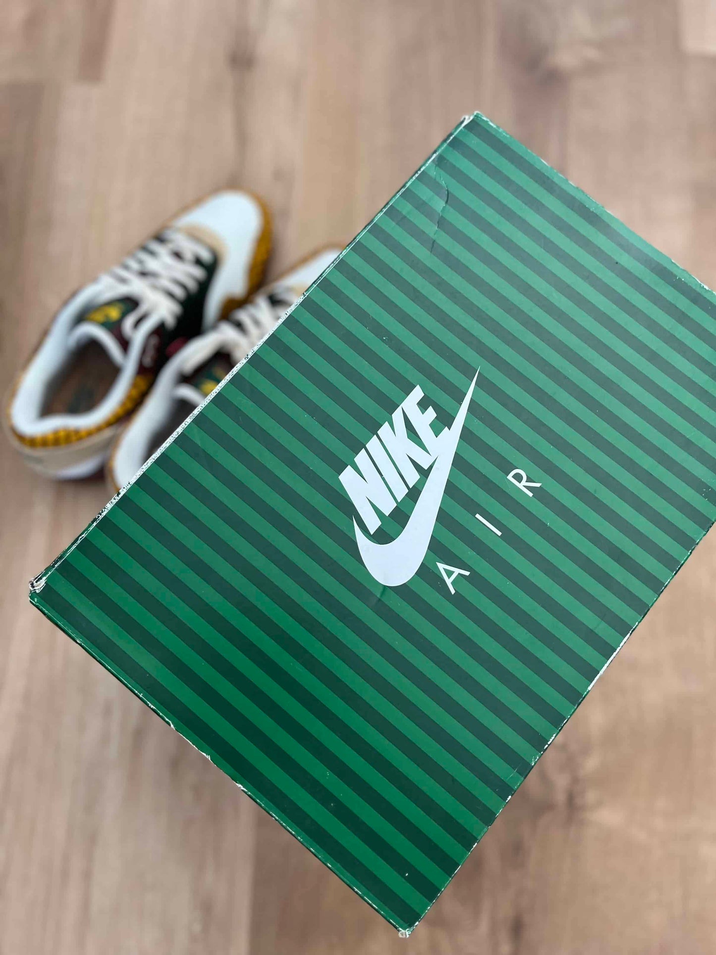 Nike Air Max 1 ‘Susan Missing Link’