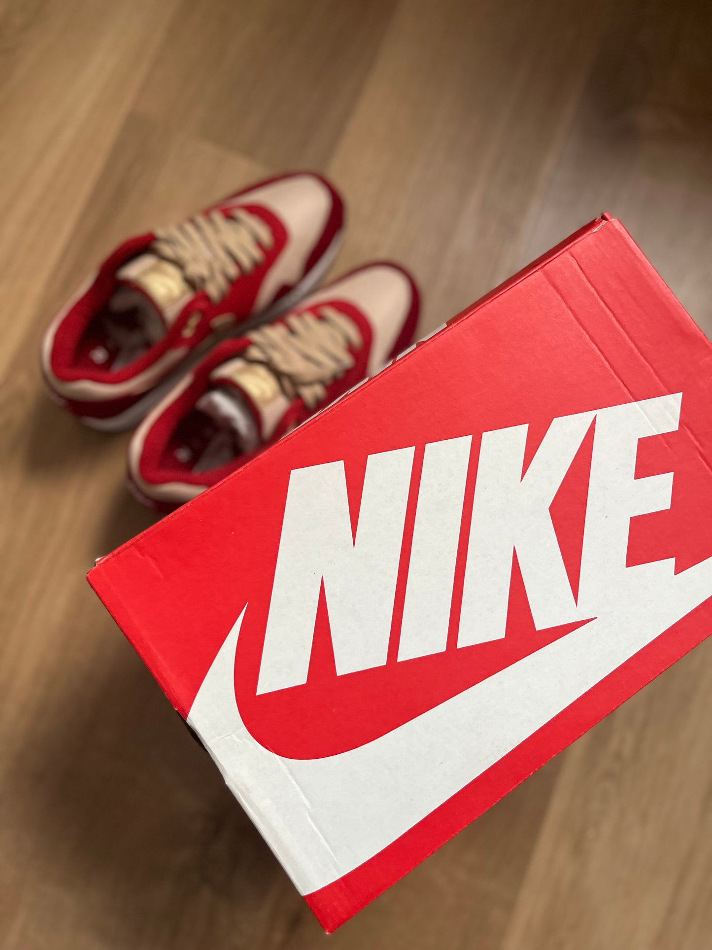 Nike Air Max 1 'Red Curry'