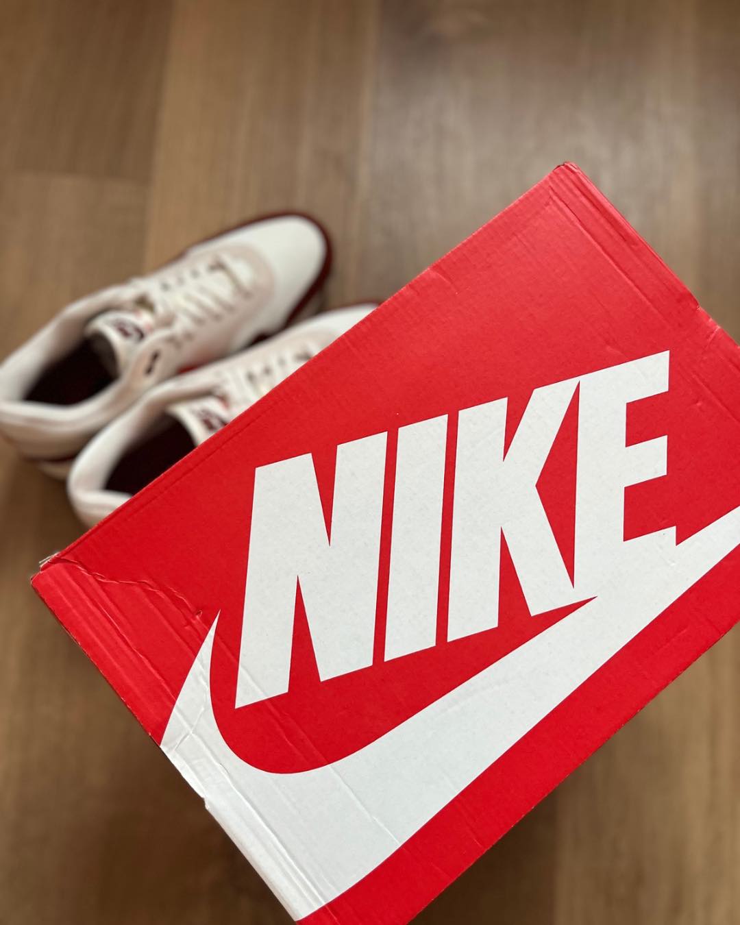 Nike Air Max 1 'Mars Stone'