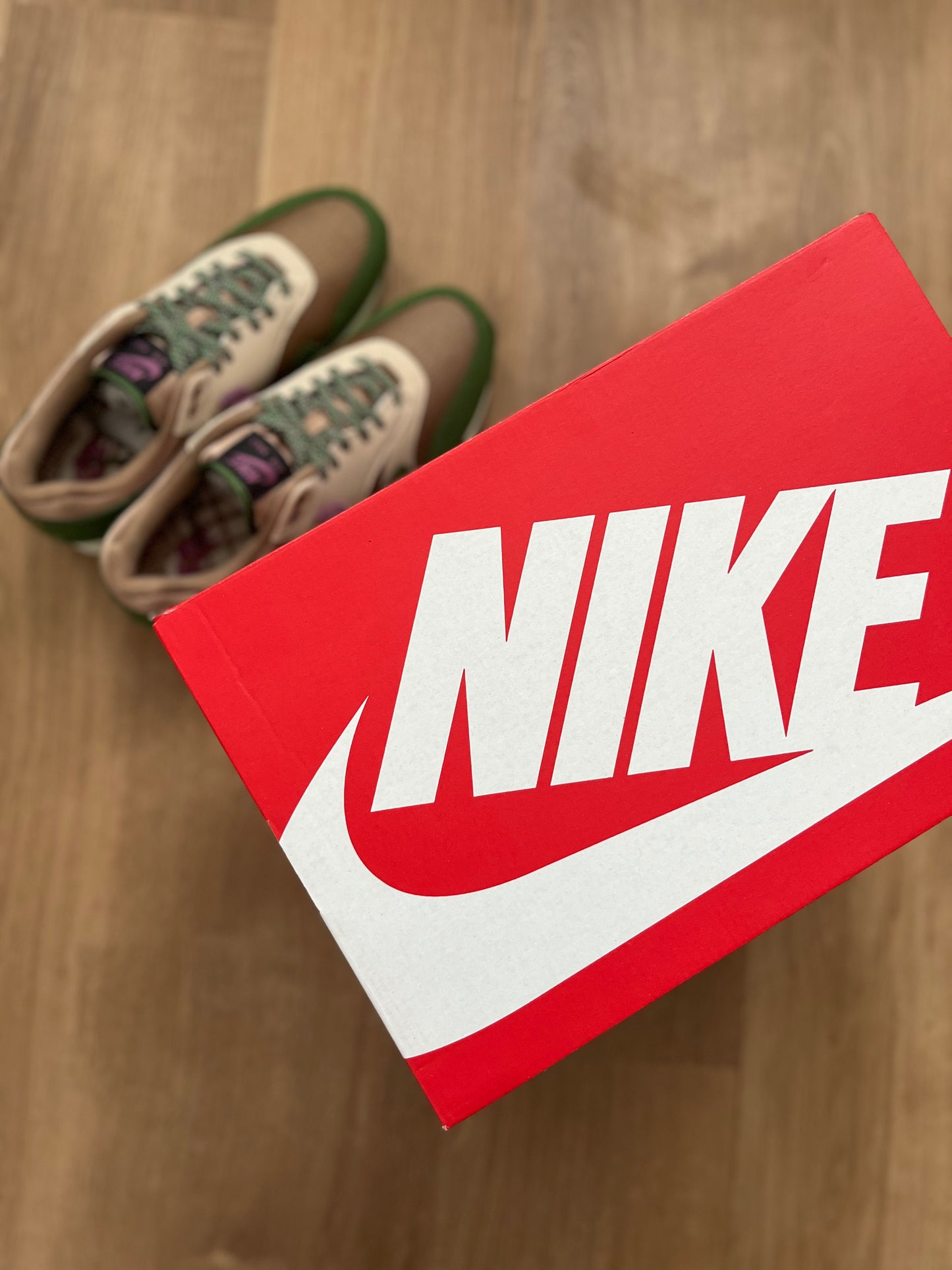 Nike Air Max 1 'Treeline'