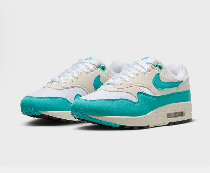 Nike Air Max 1 ’Dusty Cactus’