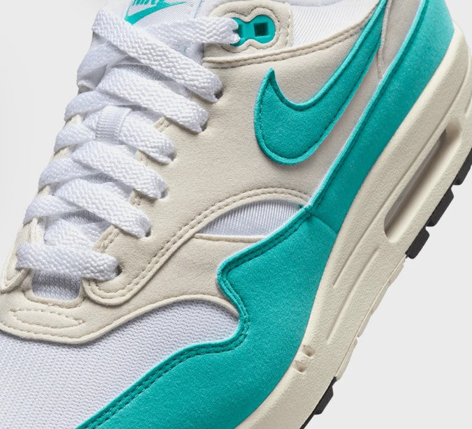 Nike Air Max 1 ’Dusty Cactus’
