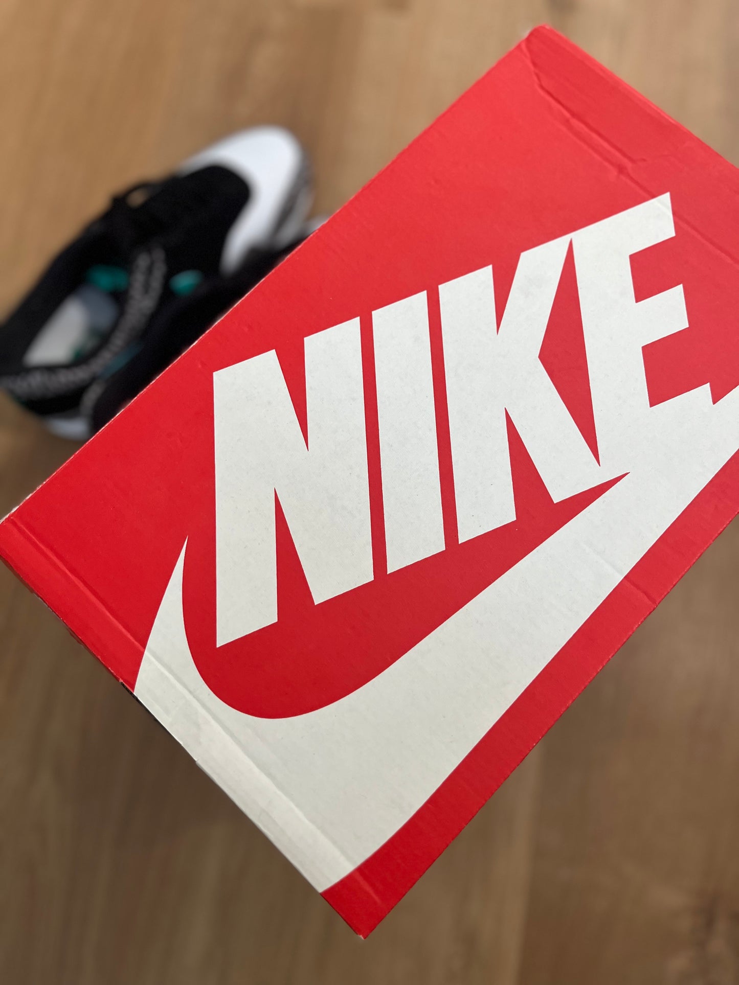 Nike Air Max 1 x Atmos 'Elephant'