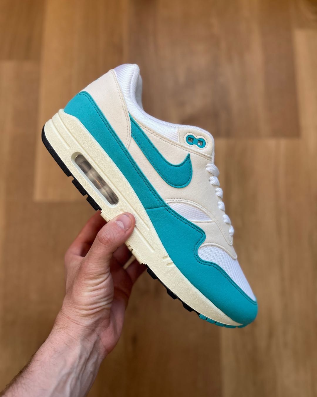 Nike Air Max 1 ’Dusty Cactus’
