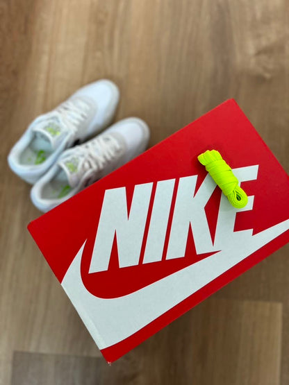 Nike Air Max 1 'Ironstone'