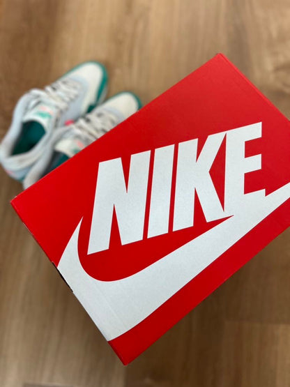 Nike Air Max 1 'Watermelon'